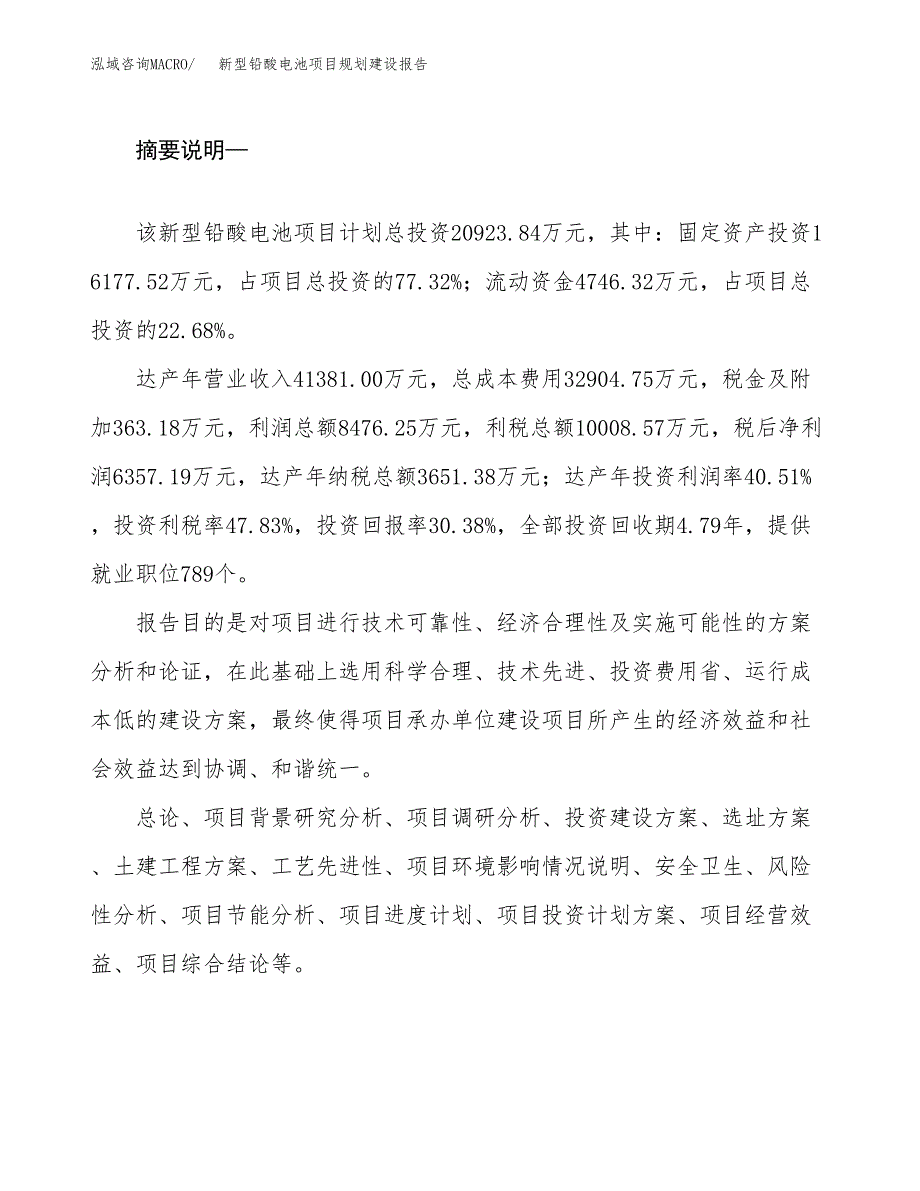 新型铅酸电池项目规划建设报告.docx_第2页