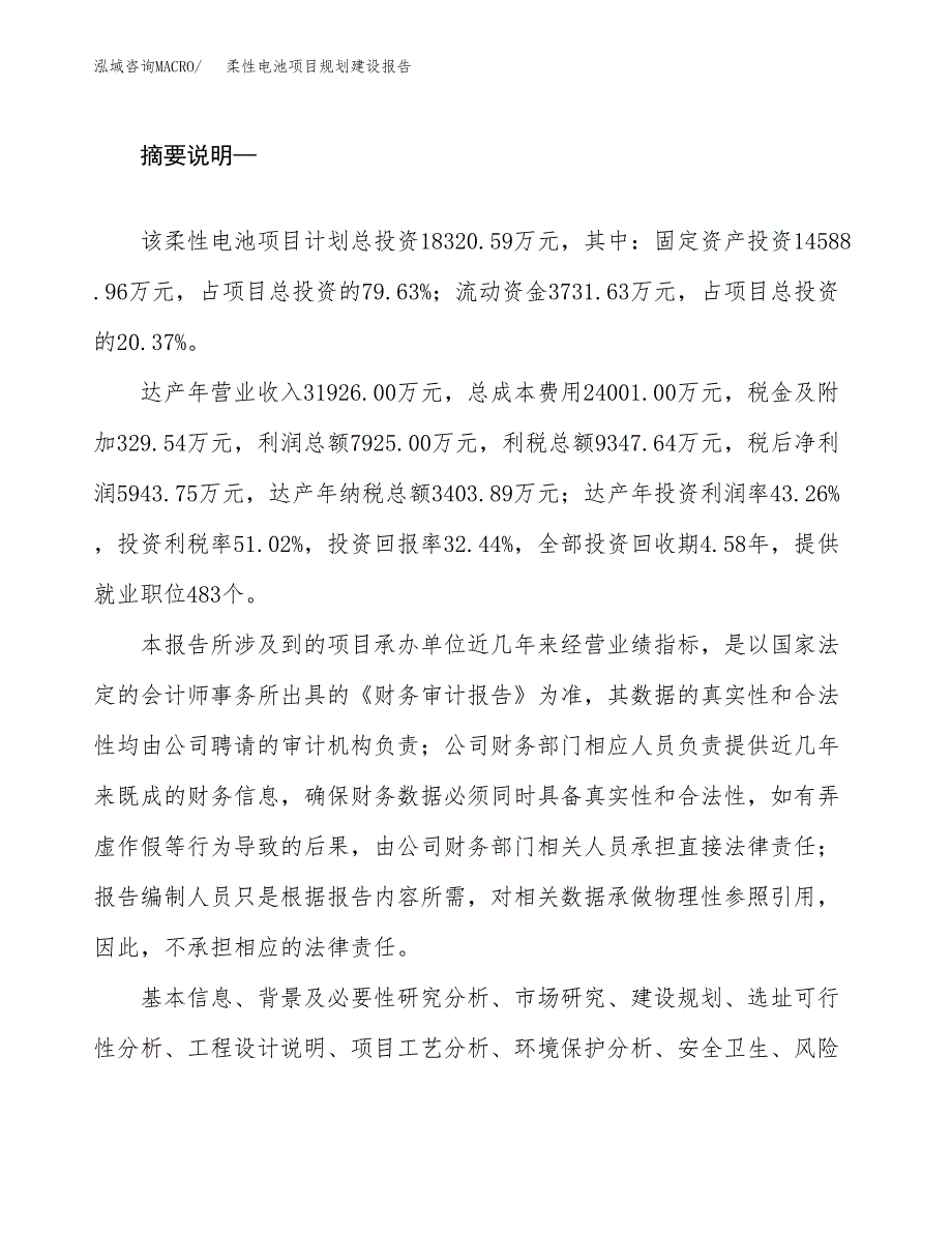 柔性电池项目规划建设报告.docx_第2页