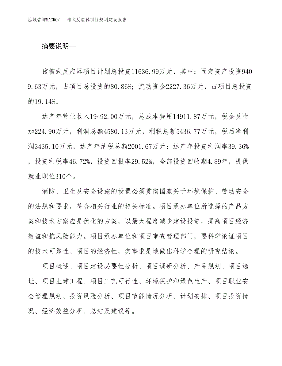 槽式反应器项目规划建设报告.docx_第2页