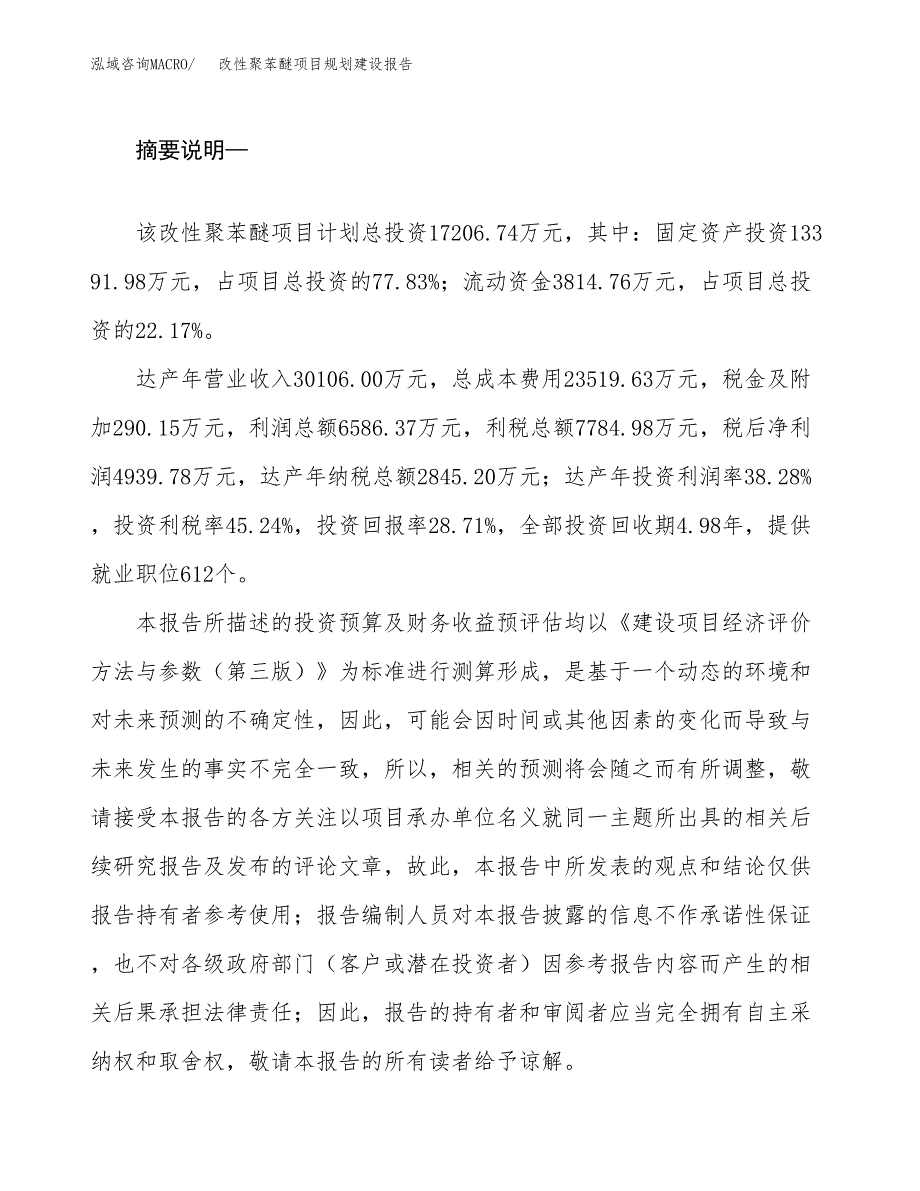 改性聚苯醚项目规划建设报告.docx_第2页