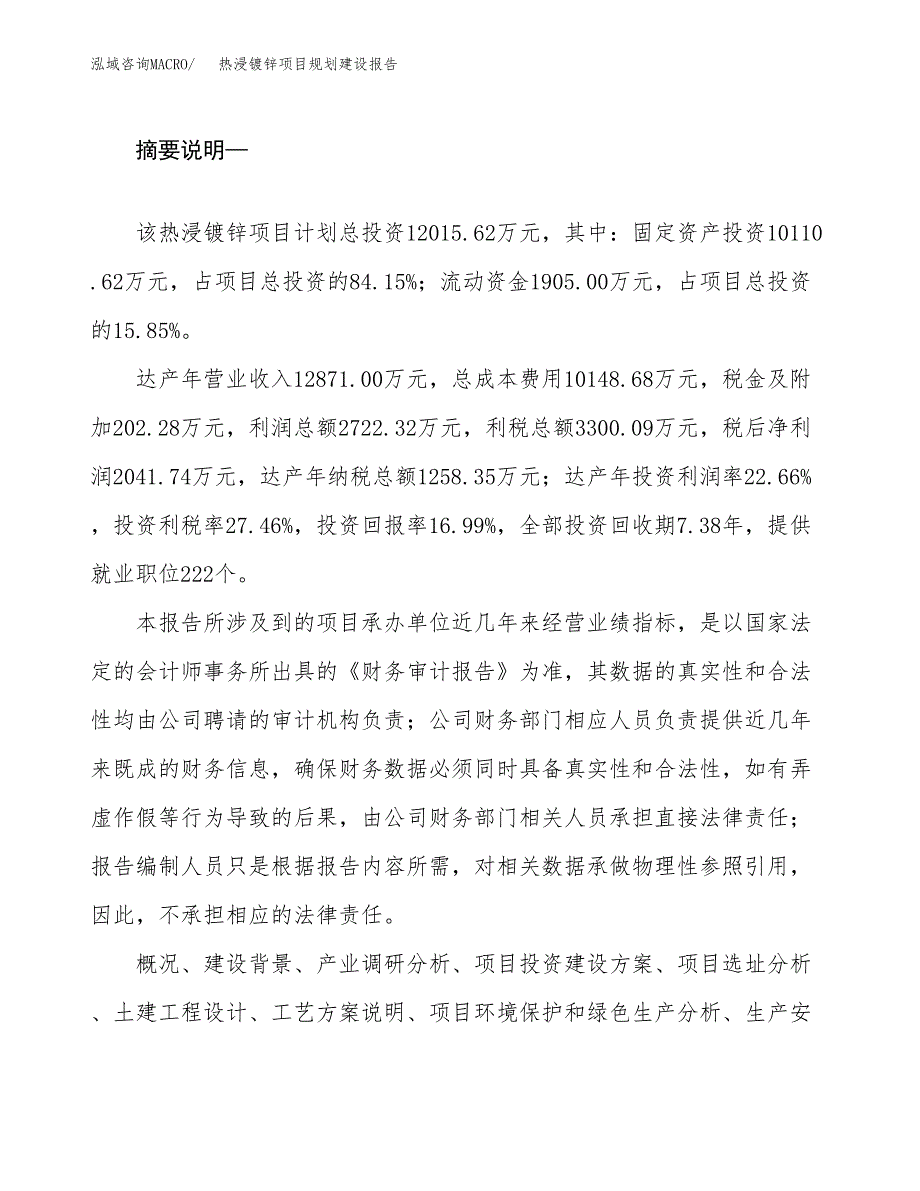 热浸镀锌项目规划建设报告.docx_第2页