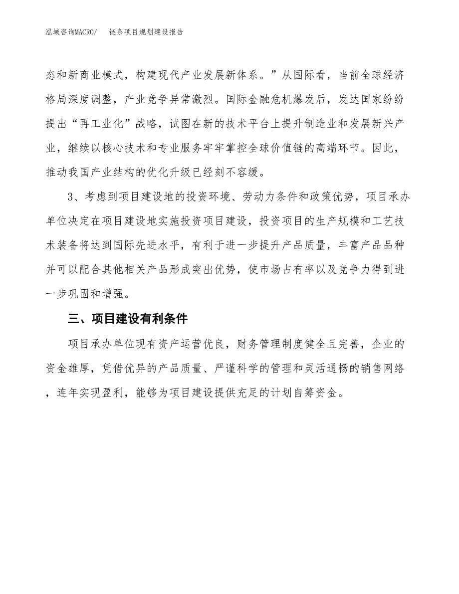 链条项目规划建设报告.docx_第5页