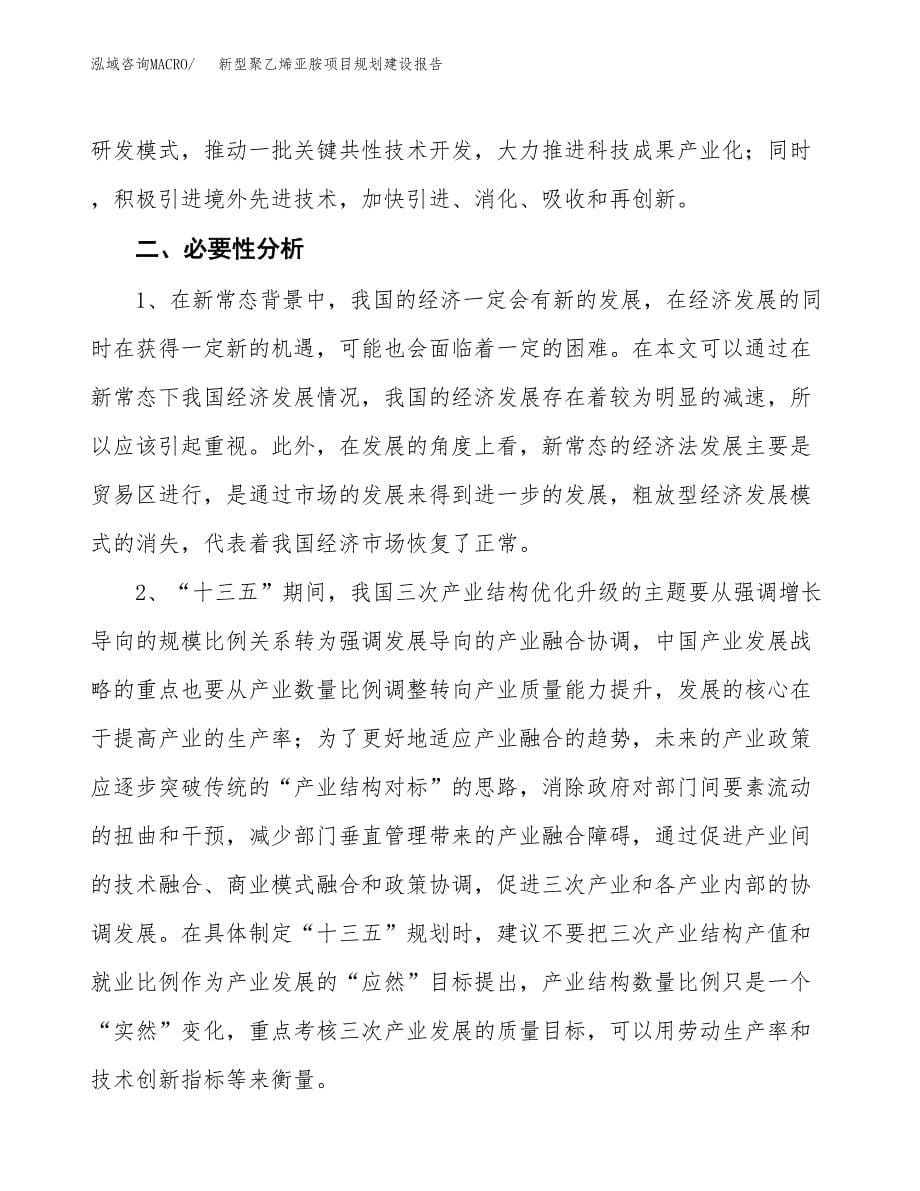 新型聚乙烯亚胺项目规划建设报告.docx_第5页