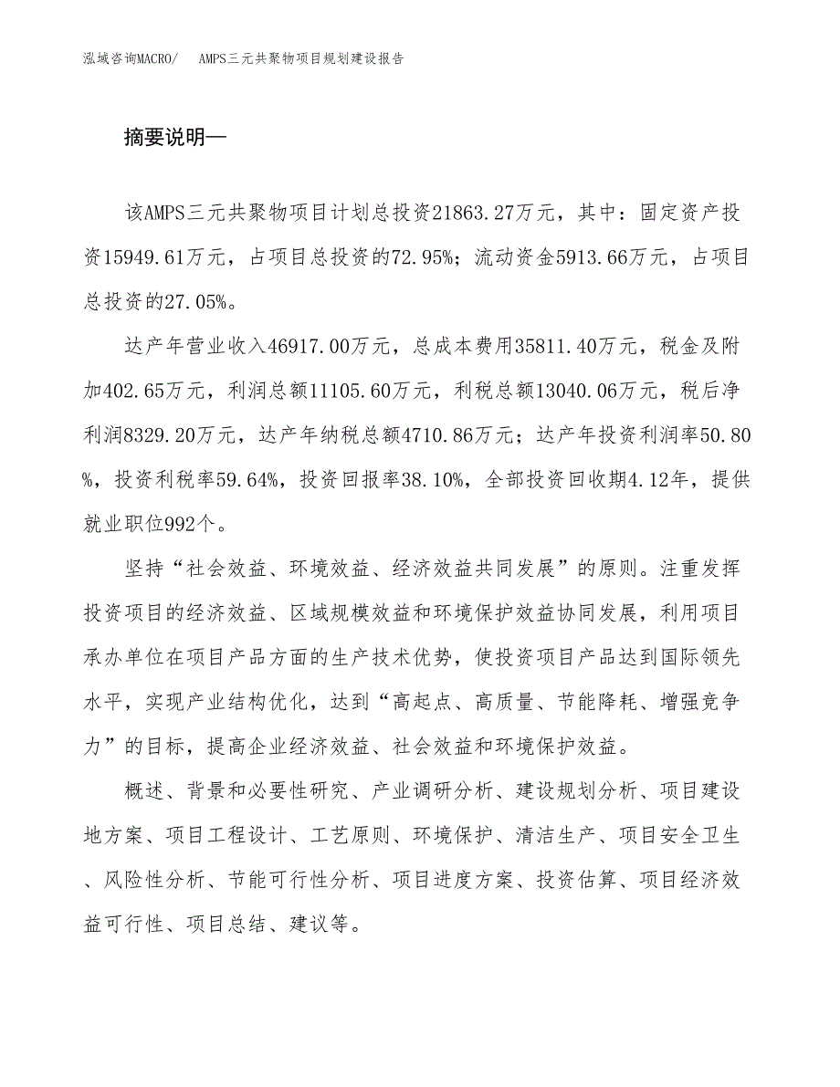 AMPS三元共聚物项目规划建设报告.docx_第2页