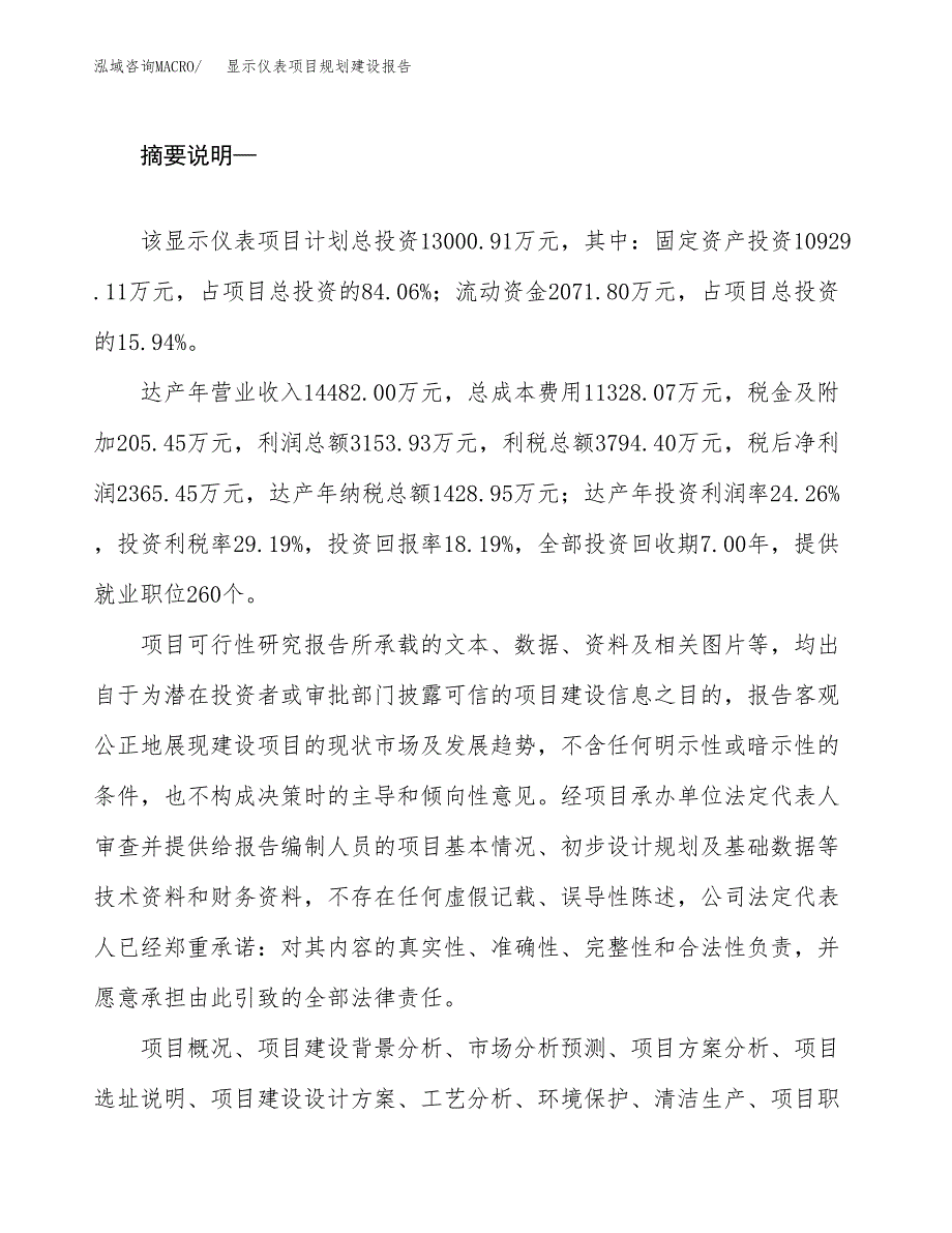 显示仪表项目规划建设报告.docx_第2页