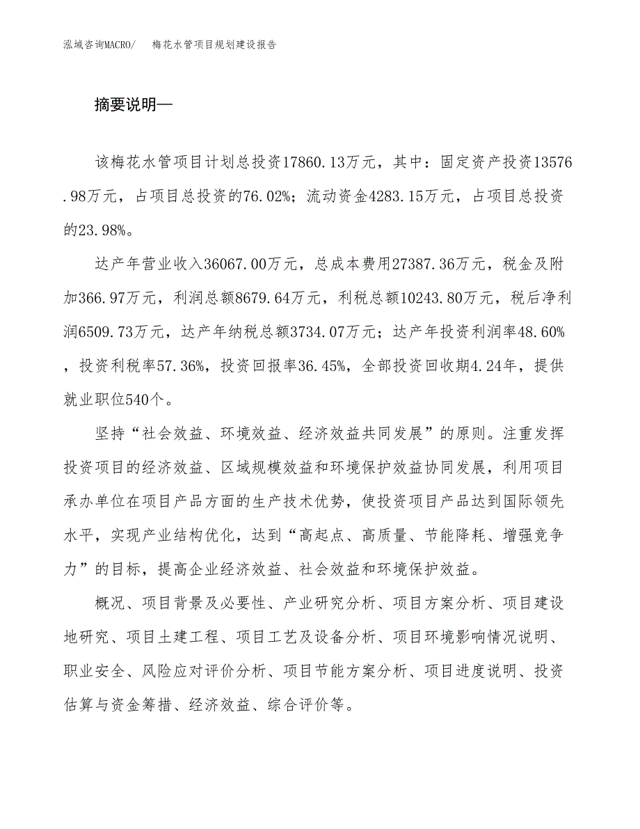 梅花水管项目规划建设报告.docx_第2页