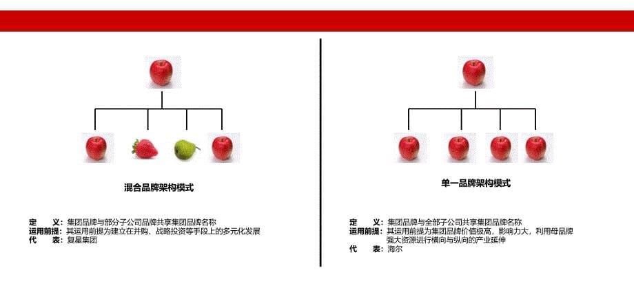 品牌架构关系管控 重要_第5页