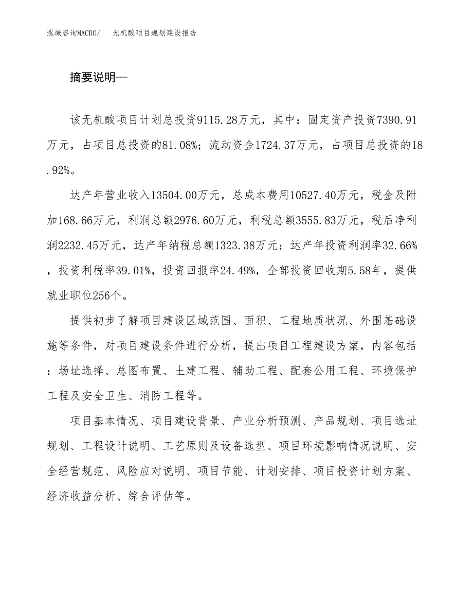 无机酸项目规划建设报告.docx_第2页