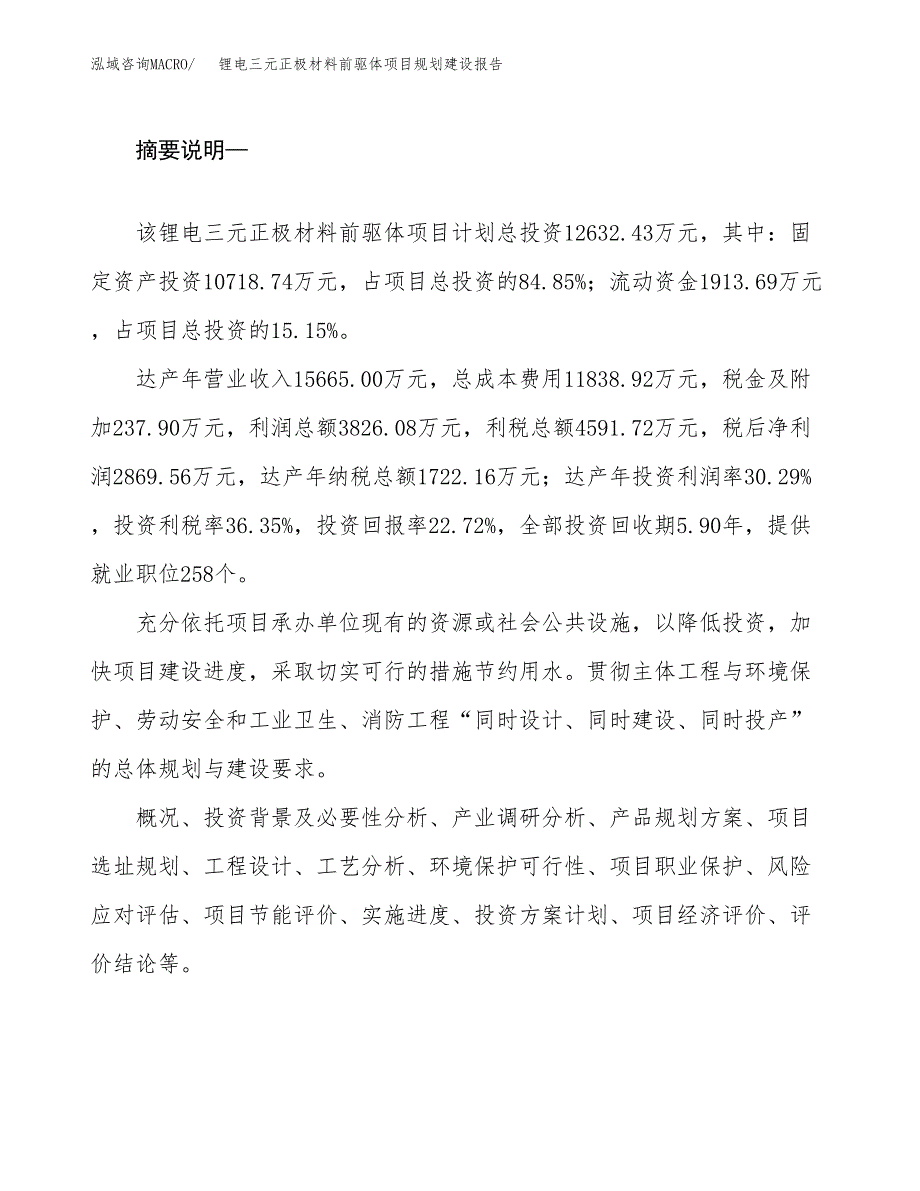 锂电三元正极材料前驱体项目规划建设报告.docx_第2页