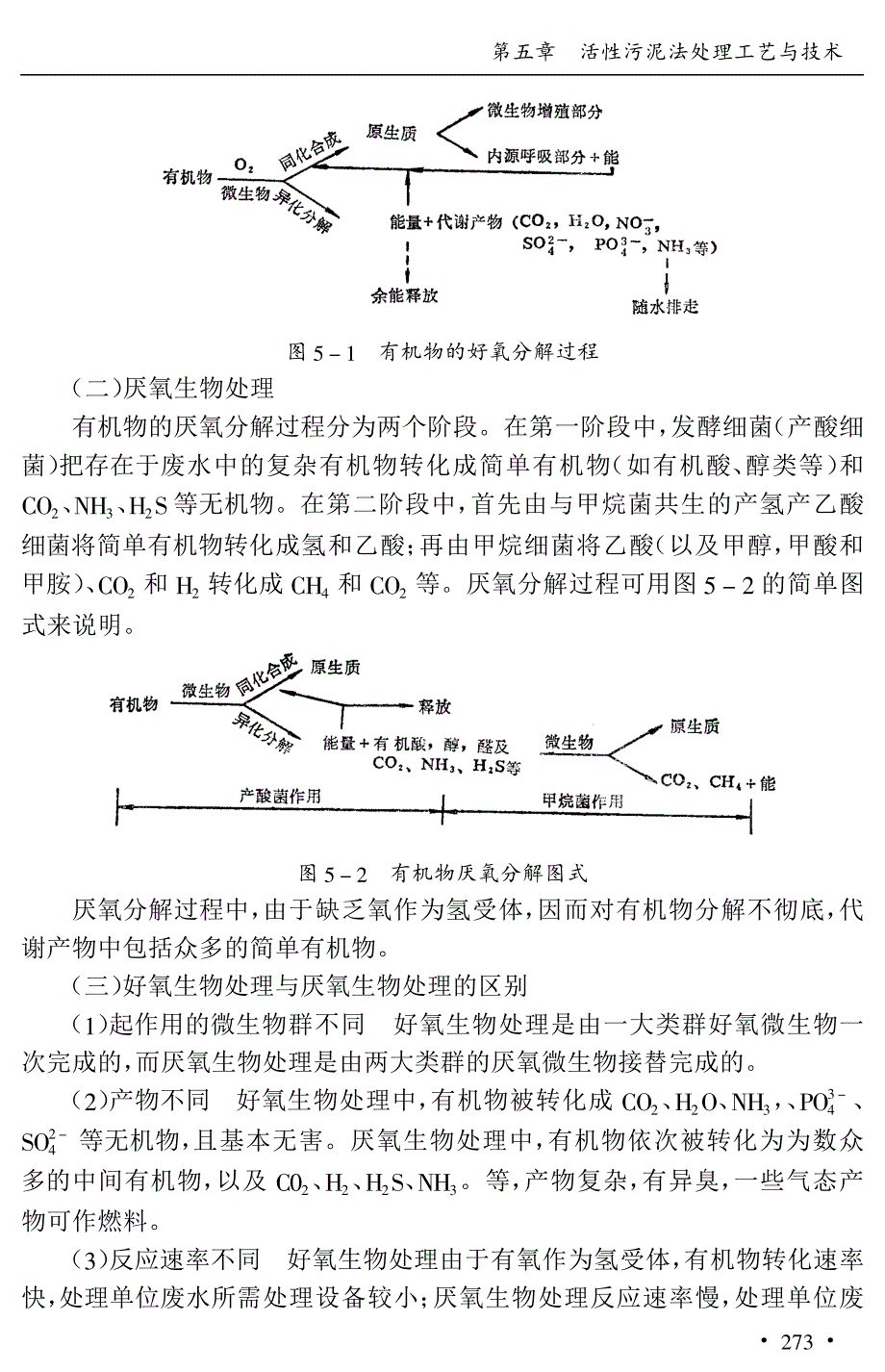 2-5-活性污泥法处理工艺与技术_第3页