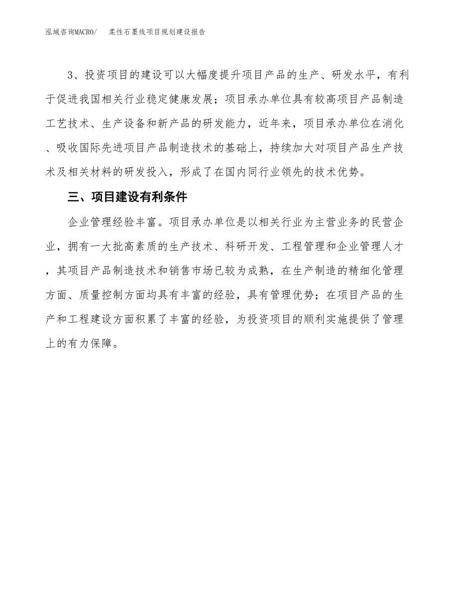 柔性石墨线项目规划建设报告.docx_第5页
