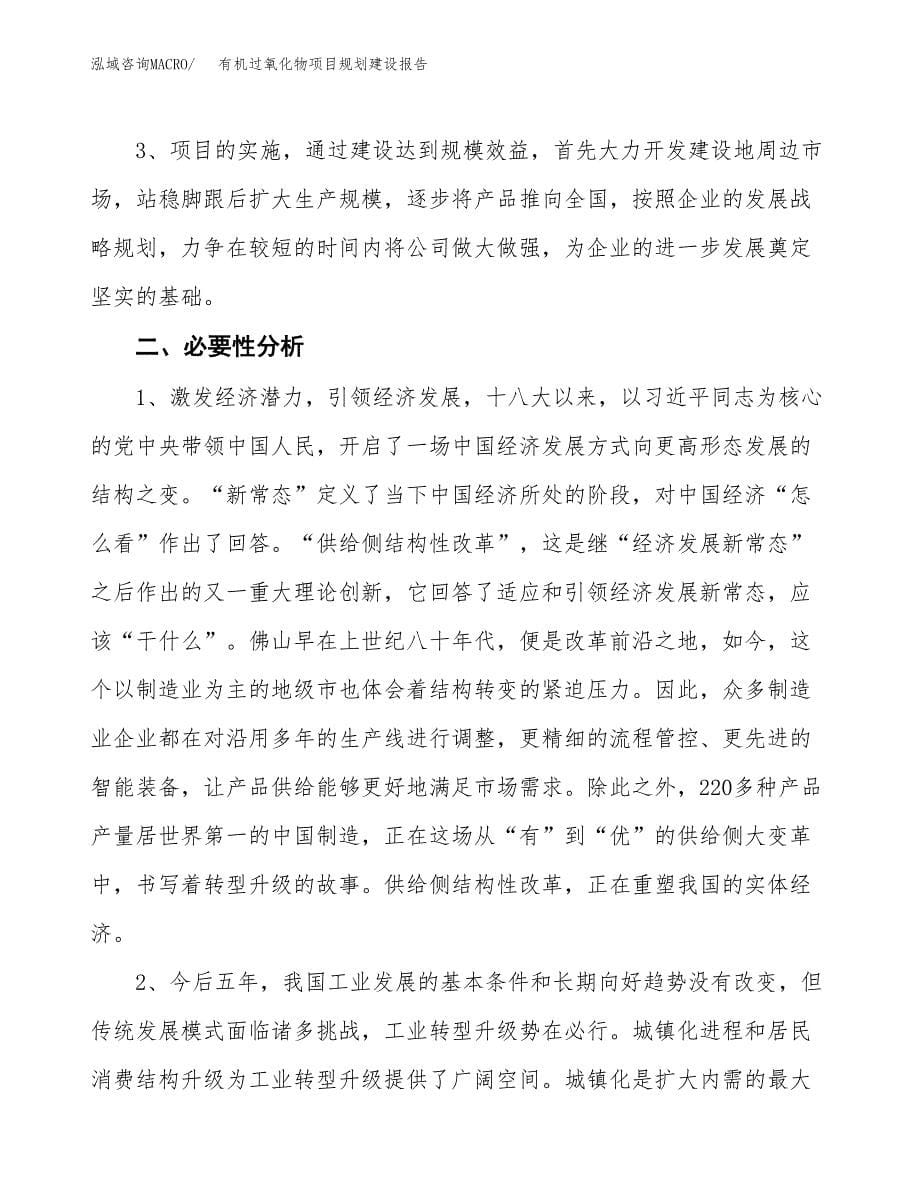 有机过氧化物项目规划建设报告.docx_第5页