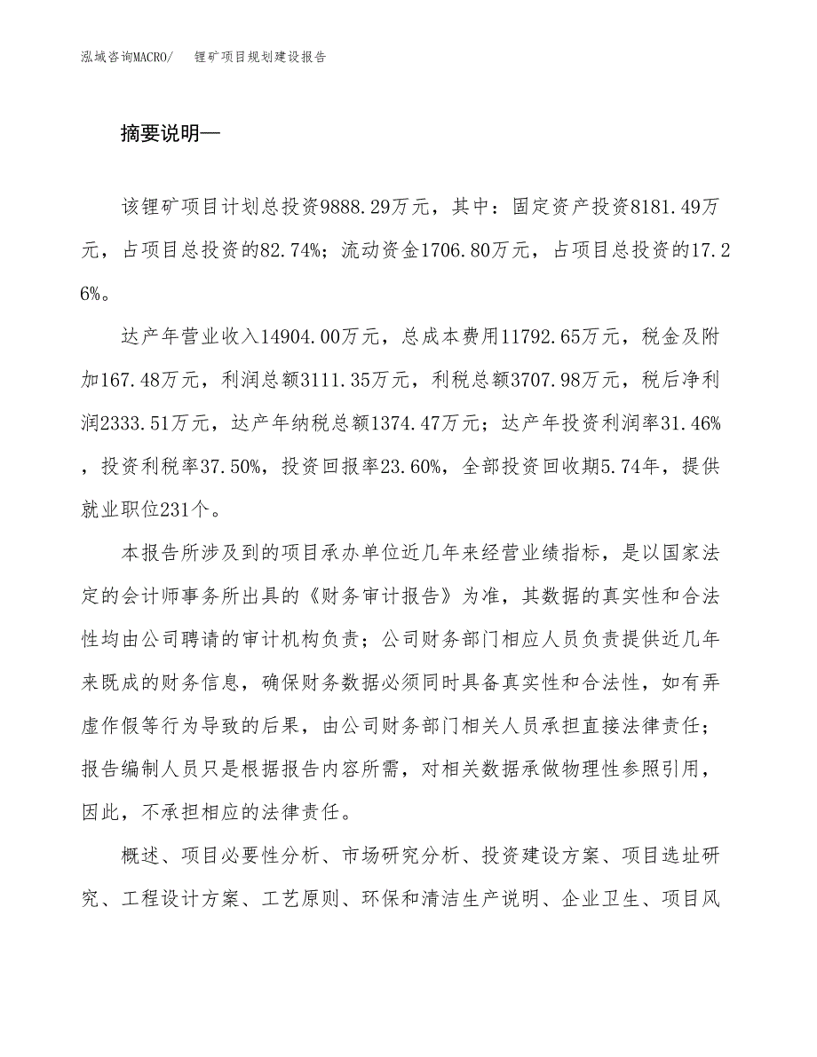 锂矿项目规划建设报告.docx_第2页