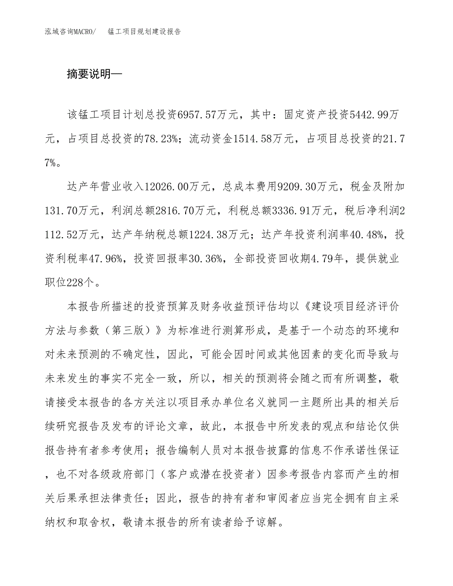 锰工项目规划建设报告.docx_第2页