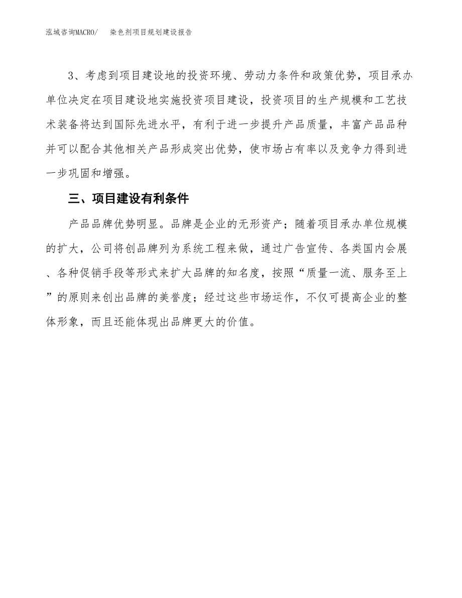 染色剂项目规划建设报告.docx_第5页