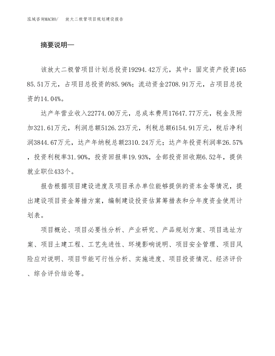 放大二极管项目规划建设报告.docx_第2页