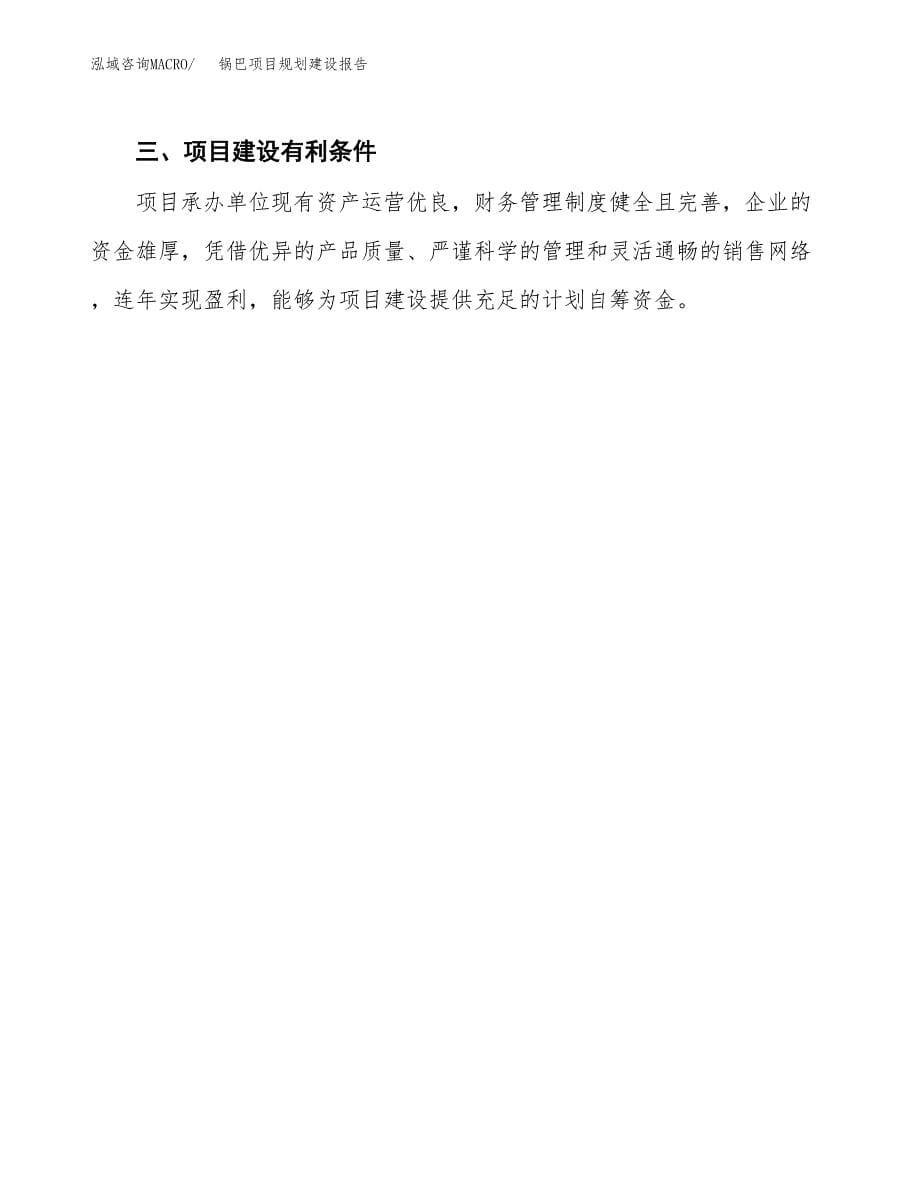 锅巴项目规划建设报告.docx_第5页