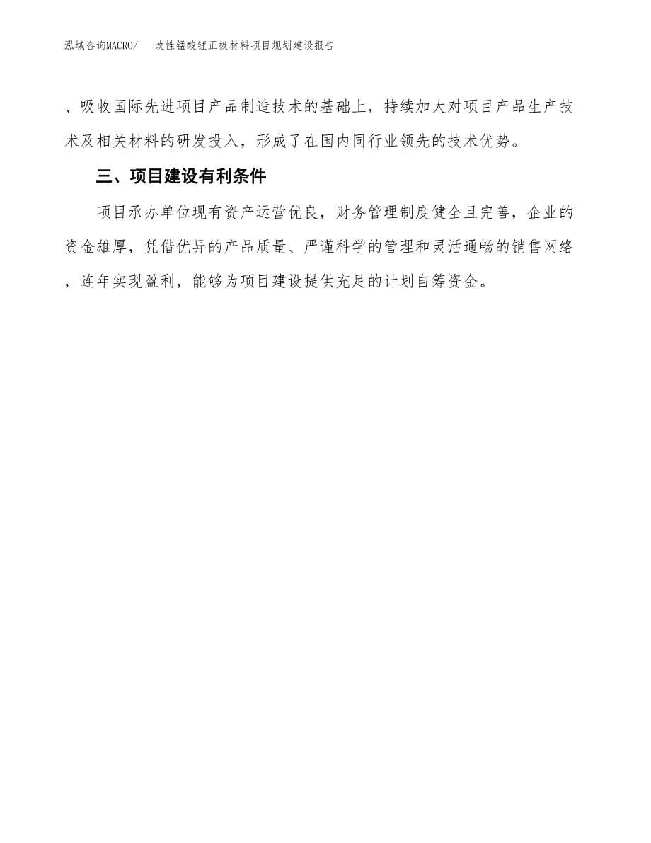 改性锰酸锂正极材料项目规划建设报告.docx_第5页