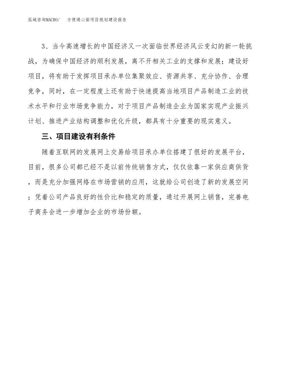 方便通心面项目规划建设报告.docx_第5页