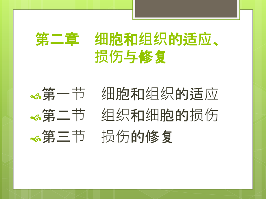 总发高职-病理学课件第二章细胞和组织的适应、损伤与修复_第2页