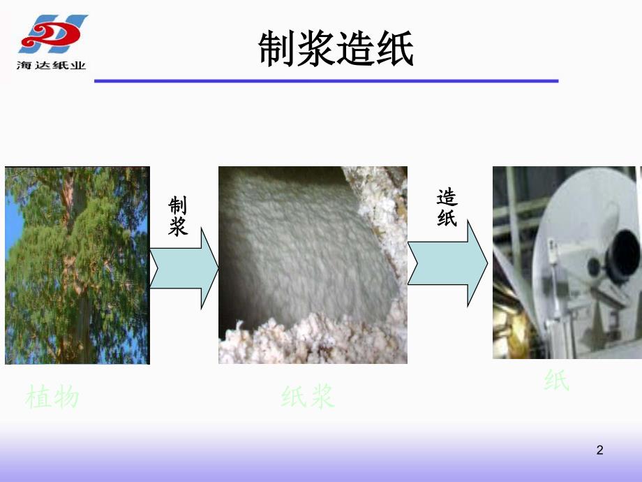 制浆造纸工艺概述_第2页