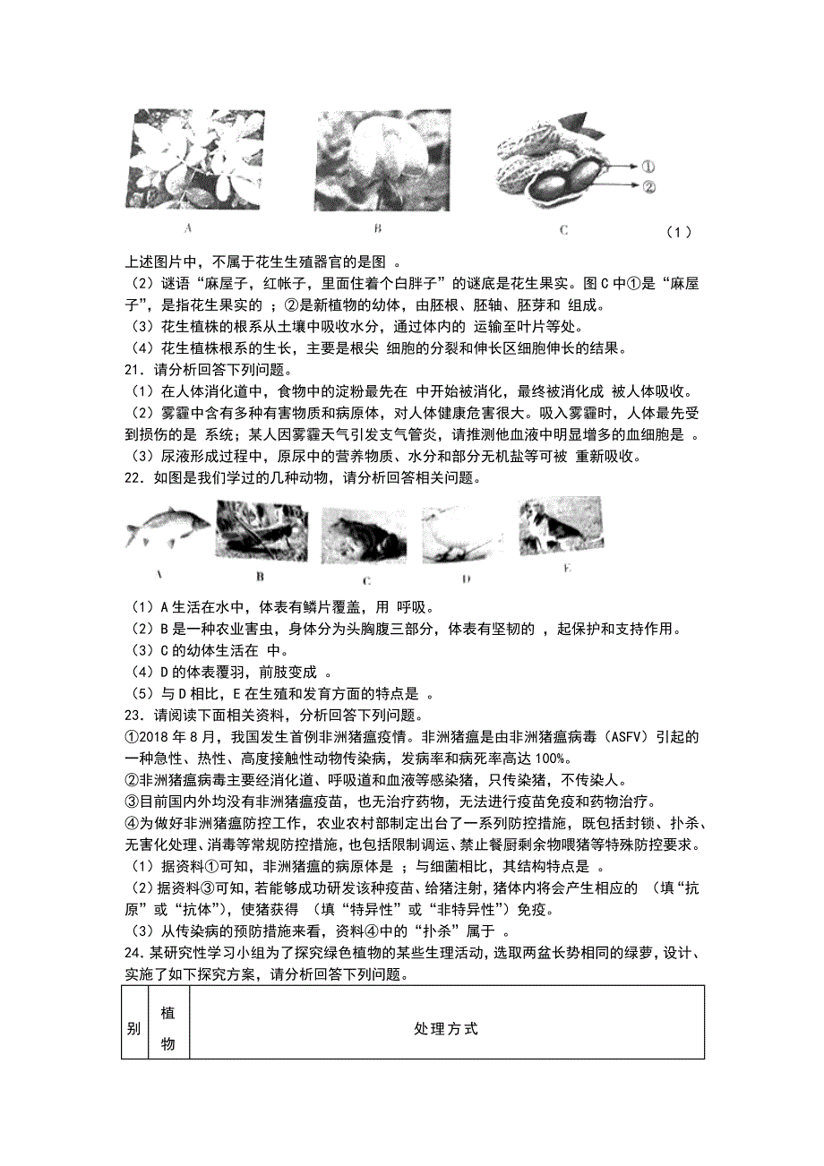 2019年甘肃省定西市中考生物试题(word版 含答案)_第3页