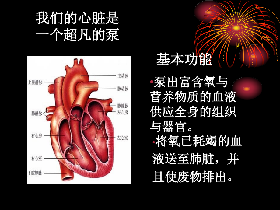 循环系统疾病心力衰竭吕风华_第3页