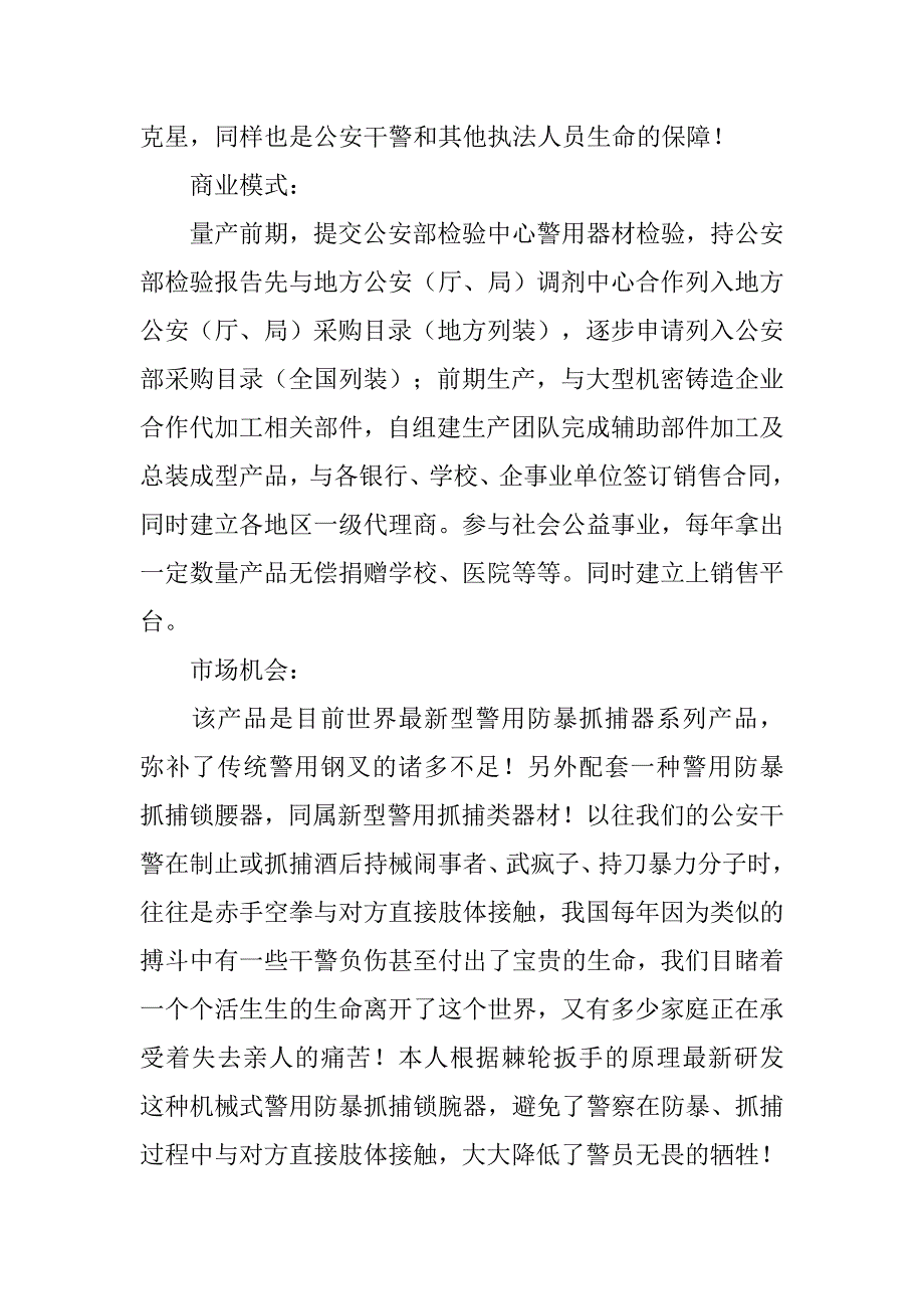 策划书摘要_1.doc_第2页