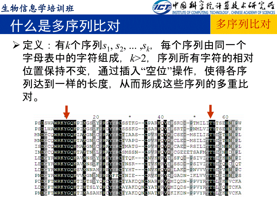 结构生物信息学4-多序列比对_第3页