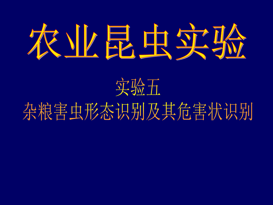 农虫实验农业昆虫学实验实验五杂粮害虫形态识别及其危害状识别_第1页