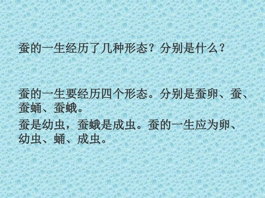 教科版三年级科学下册第二单元《蚕的生命周期》课件2_第5页