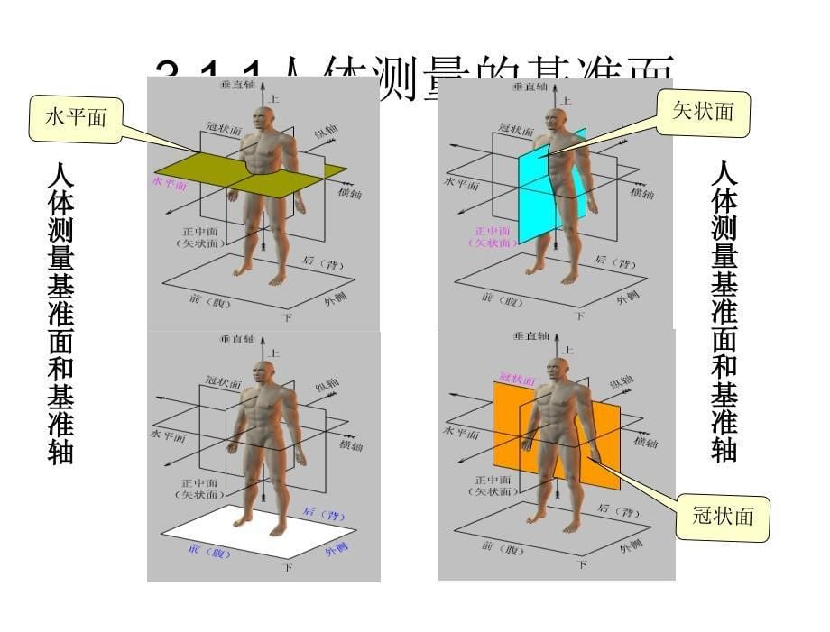 人因工程孙林岩随书使用人因工程课件第03章节zj_第5页