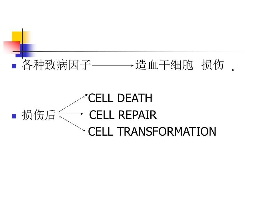 内科学课件19.白血病-孙玉华_第5页