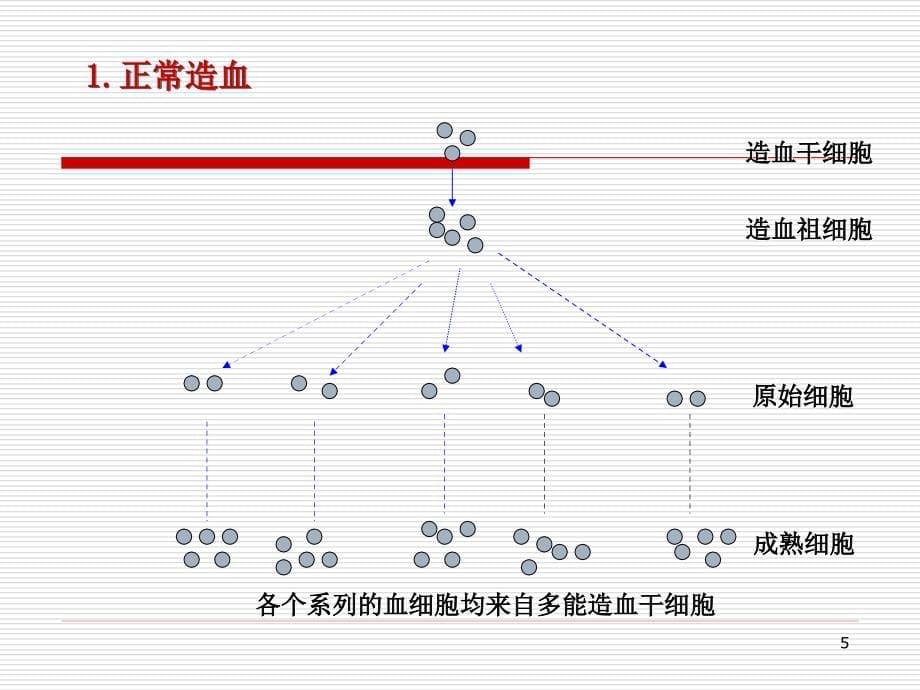 内科学课件总汇内科学白血病13142八版_第5页