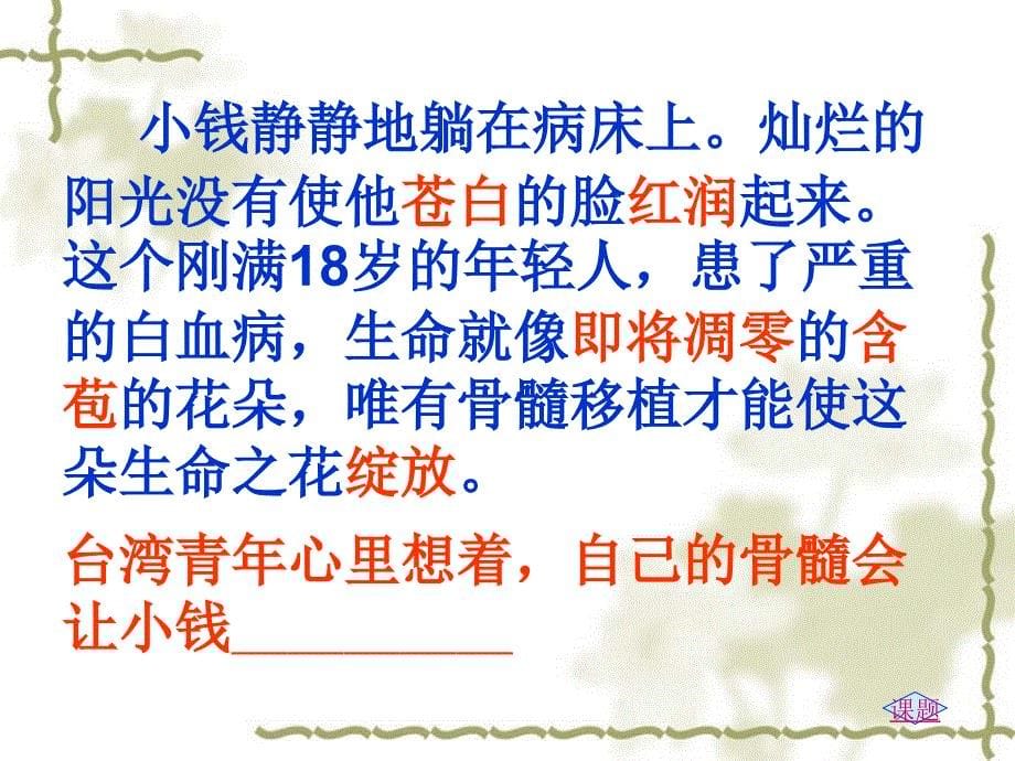 人教版小学语文四年级上册课件人教版四年级语文上册跨越海峡的生命桥课件_第5页