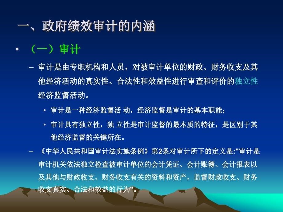 政府绩效审计概述_第5页