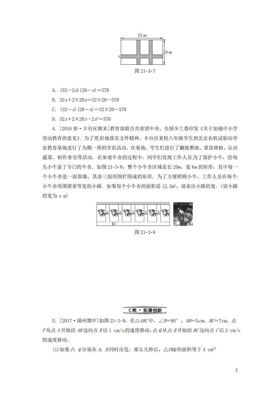 2019年秋九年级数学上册 第二十一章 一元二次方程 21.3 实际问题与一元二次方程 第2课时 几何图形与一元二次方程分层作业 （新版）新人教版_第2页