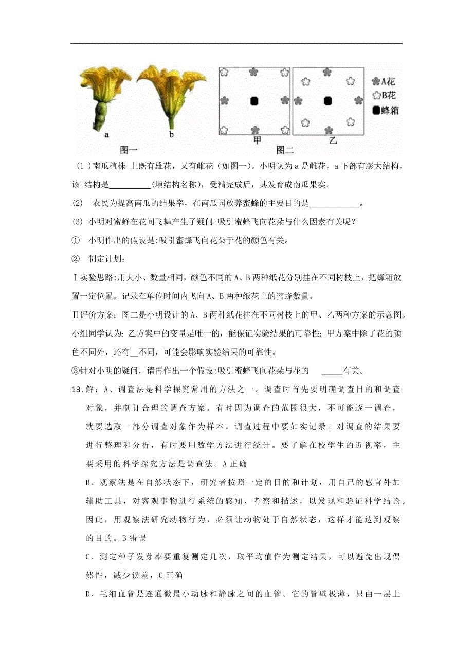 湖北省黄冈市2019年中考生物试题（Word解析版）_第5页