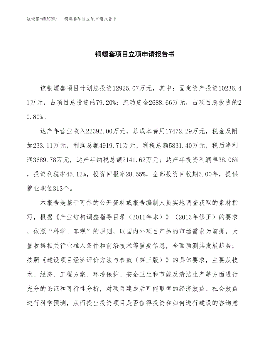 铜螺套项目立项申请报告书（总投资13000万元）_第2页