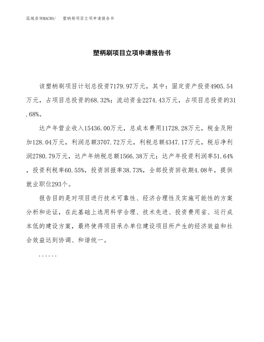 塑柄刷项目立项申请报告书（总投资7000万元）_第2页