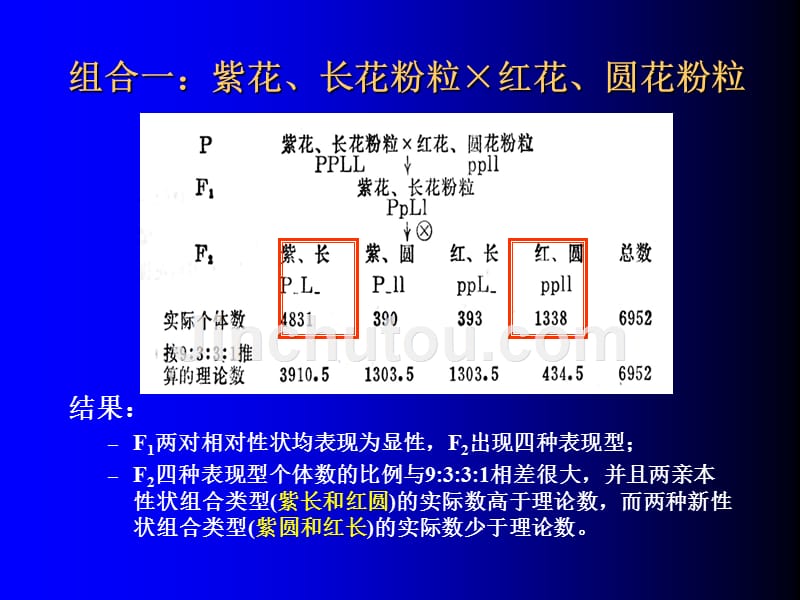 连锁遗传的表现与规律应用_第4页