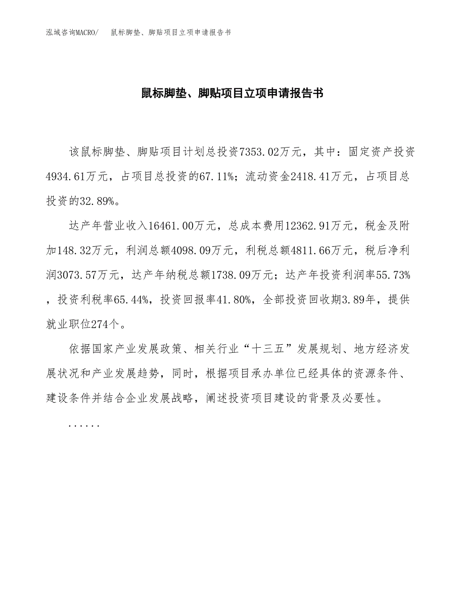 鼠标脚垫、脚贴项目立项申请报告书（总投资7000万元）_第2页