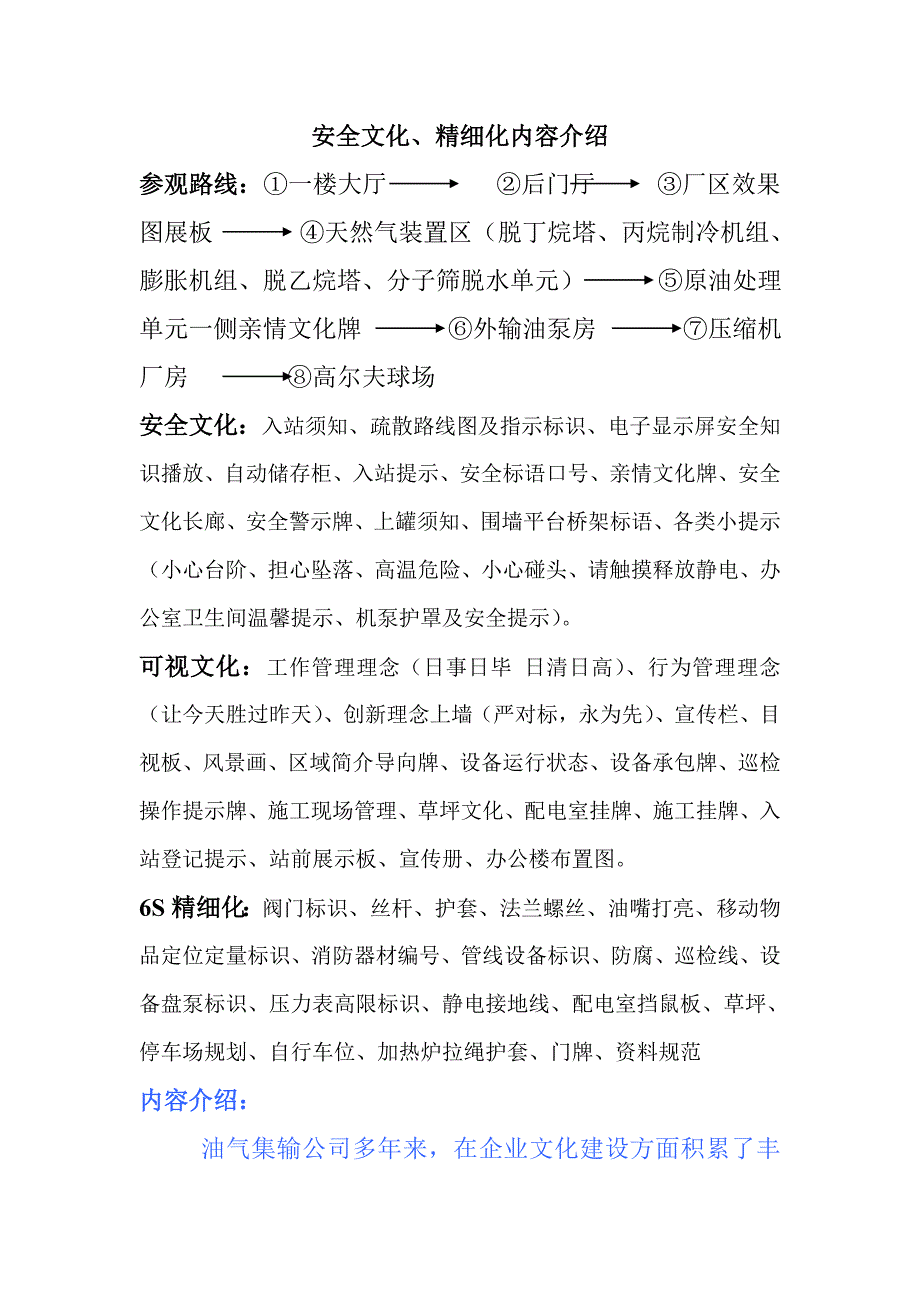 安全文化、可视文化、精细化内容介绍(初稿)_第1页