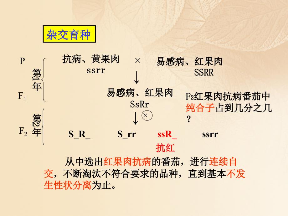 2019高中生物 第四章 生物的变异 4.2 生物变异在生产上的应用课件 浙科版必修2_第3页