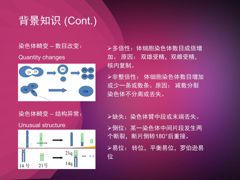 外周血染色体核型分析_第3页