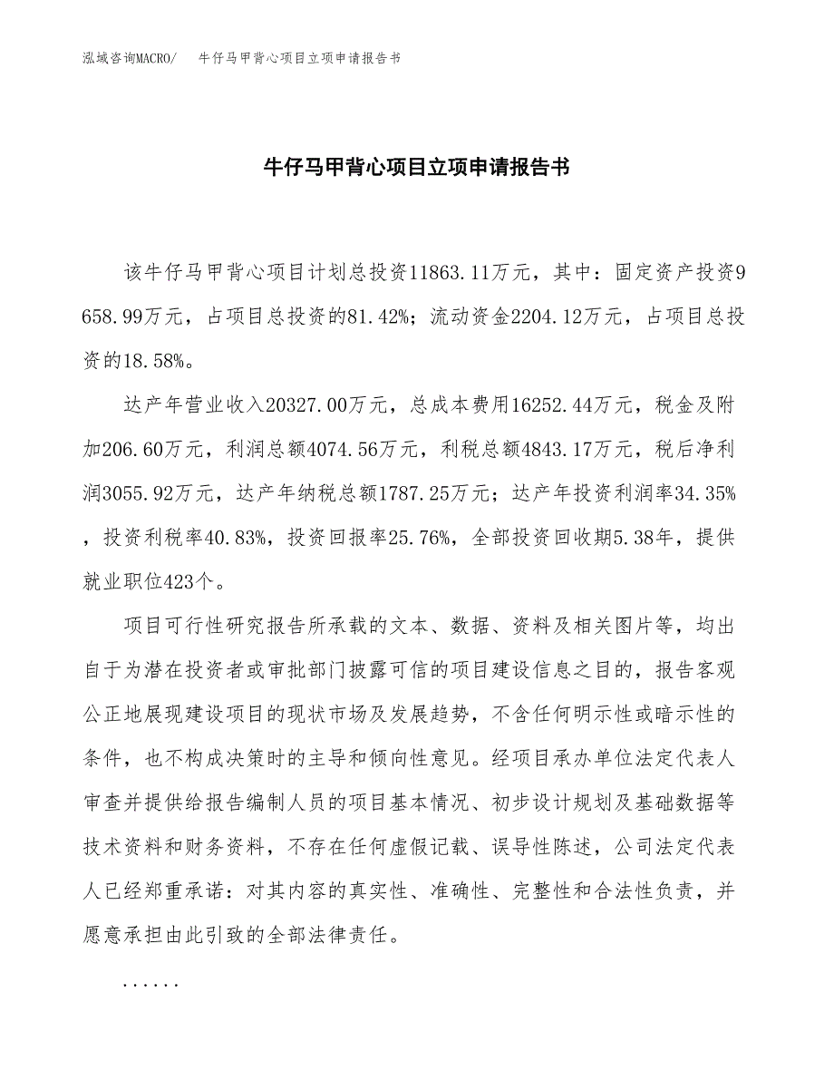 牛仔马甲背心项目立项申请报告书（总投资12000万元）_第2页