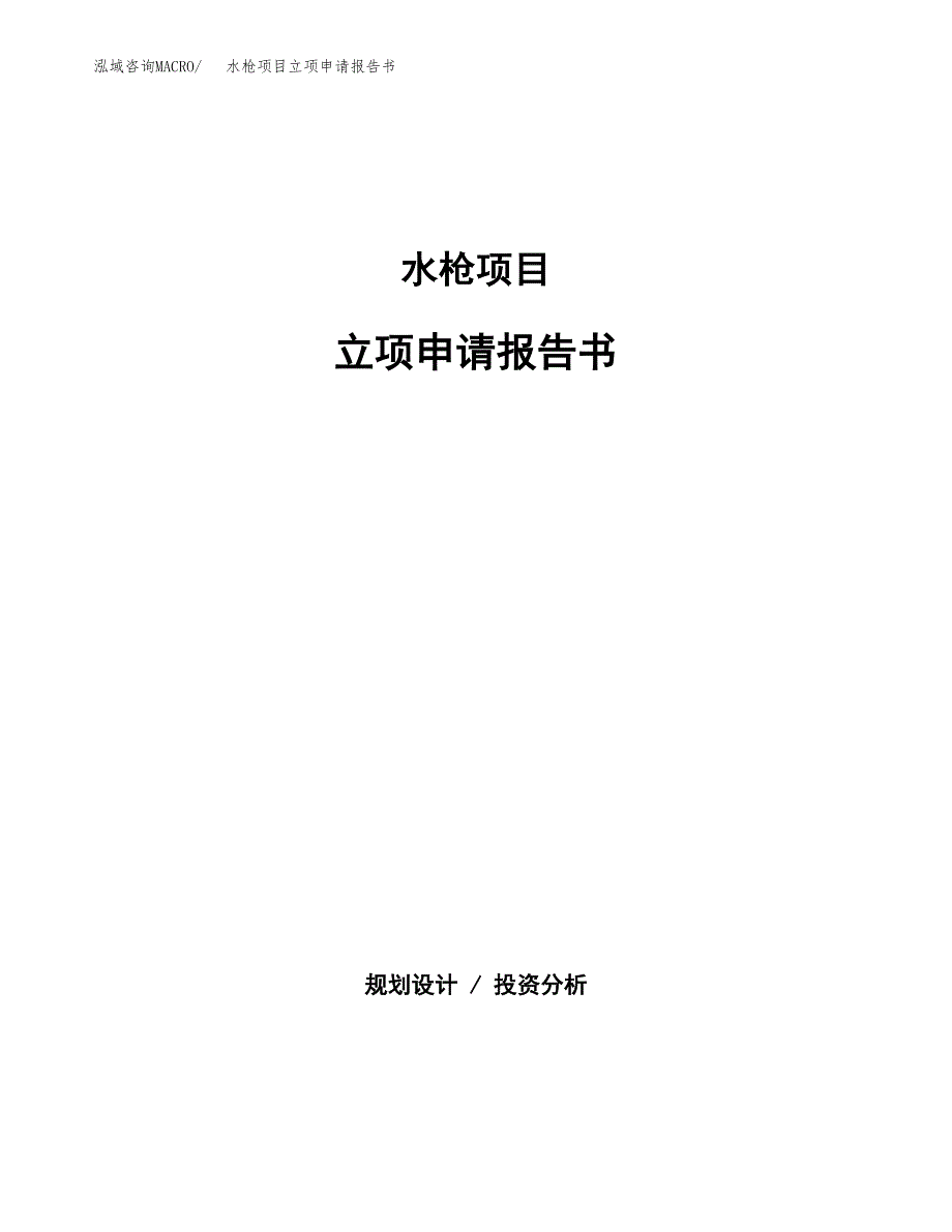 水枪项目立项申请报告书（总投资19000万元）_第1页