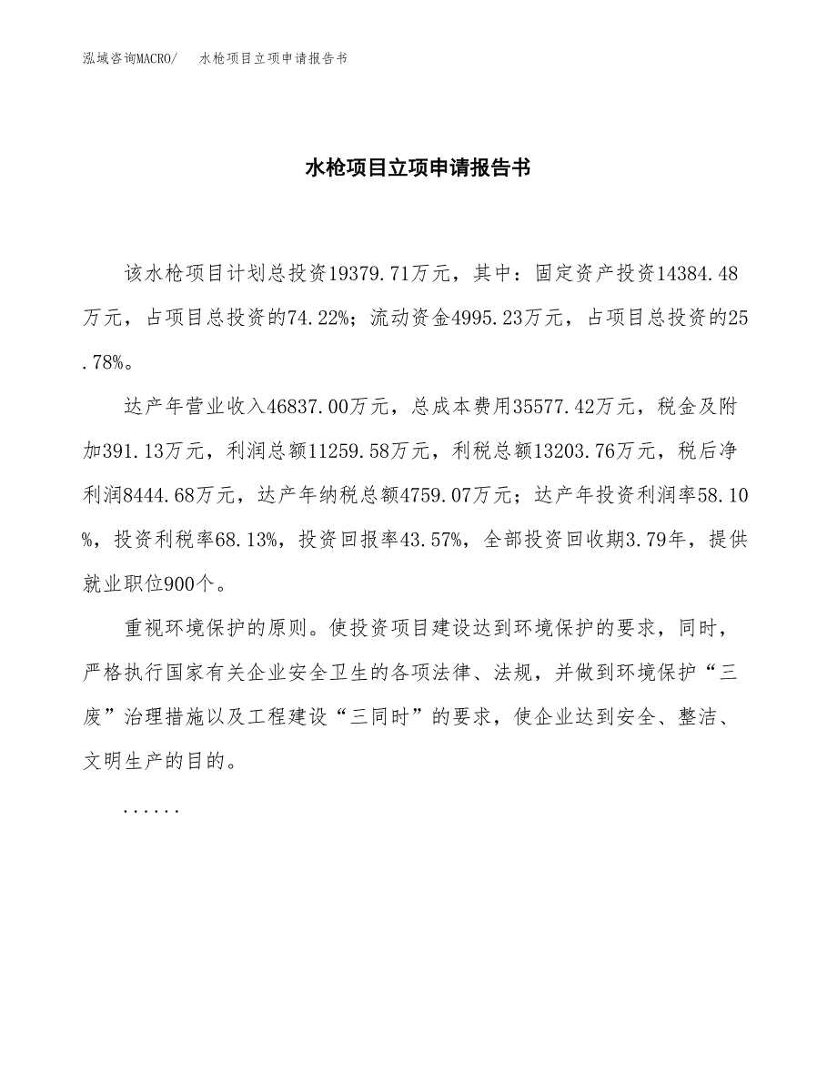 水枪项目立项申请报告书（总投资19000万元）_第2页