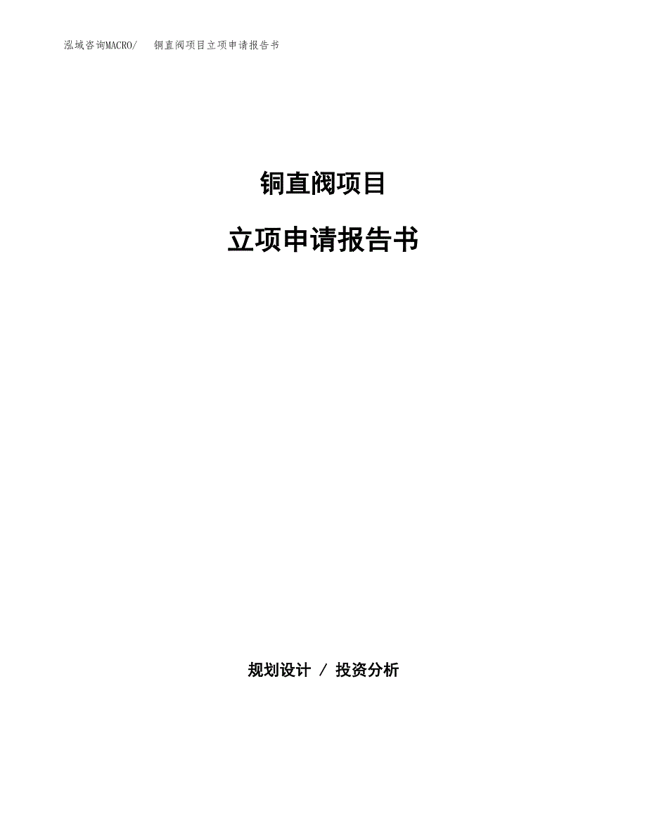 铜直阀项目立项申请报告书（总投资5000万元）_第1页