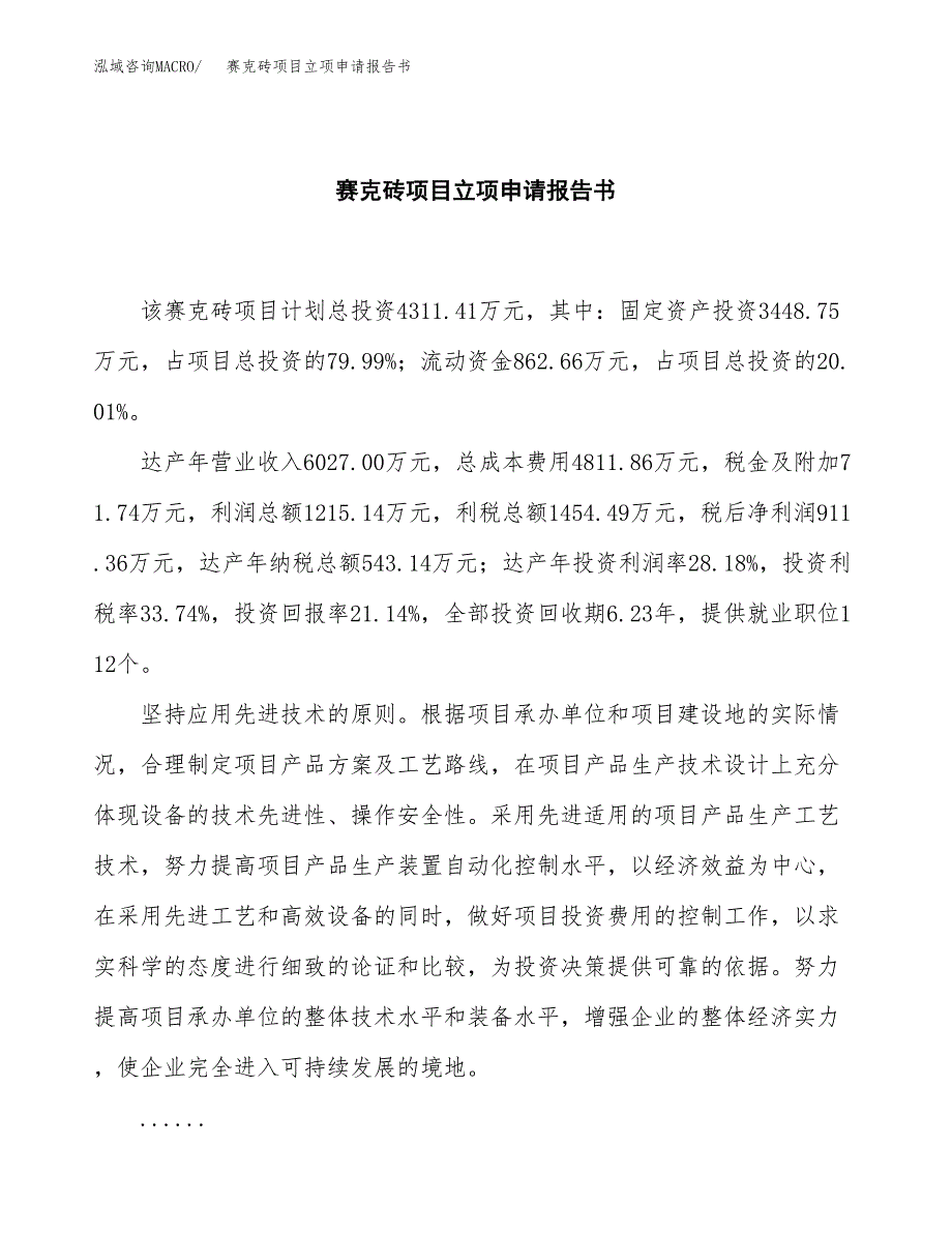 赛克砖项目立项申请报告书（总投资4000万元）_第2页